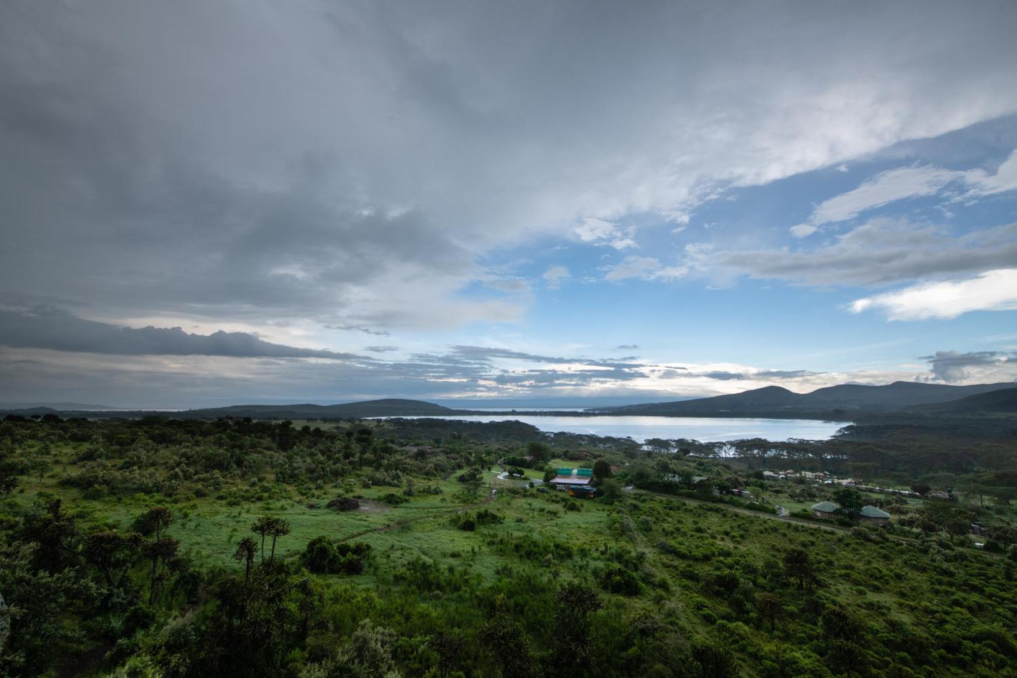 Naivasha Kongoni Lodge - Lakefront Getaway Kültér fotó